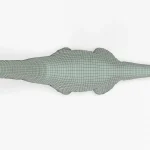 Brachiosaurus 3d model
