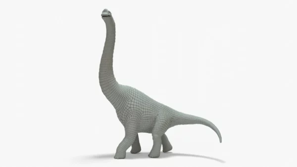 Brachiosaurus 3D Model Rigged Basemesh Skeleton 3D Model Creature Guard 13