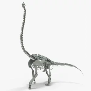 Brachiosaurus Rigged Skeleton