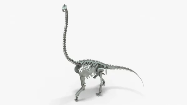 Brachiosaurus Rigged Skeleton 3D Model Creature Guard 12