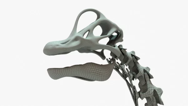 Brachiosaurus Rigged Skeleton 3D Model Creature Guard 13