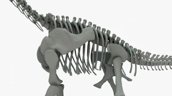 Brachiosaurus Rigged Skeleton 3D Model Creature Guard 14