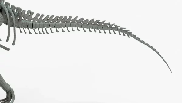 Brachiosaurus Rigged Skeleton 3D Model Creature Guard 15