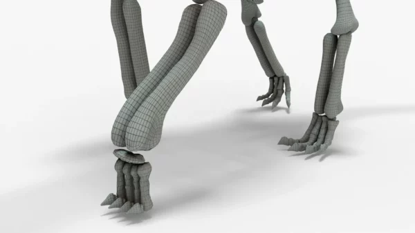Brachiosaurus Rigged Skeleton 3D Model Creature Guard 16