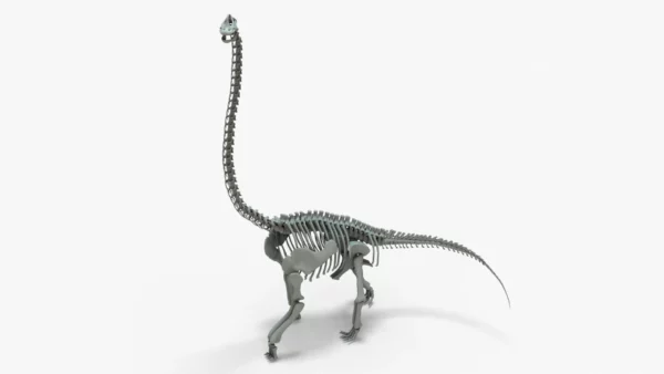 Brachiosaurus Rigged Skeleton 3D Model Creature Guard 17