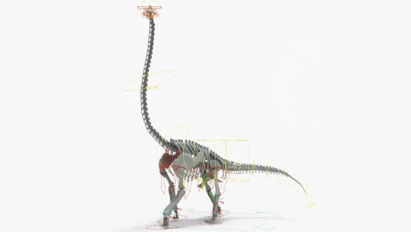 Brachiosaurus Rigged Skeleton 3D Model Creature Guard 20