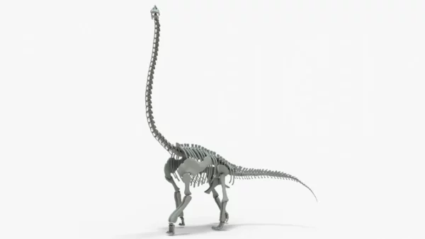 Brachiosaurus Rigged Skeleton 3D Model Creature Guard 3