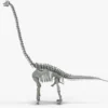 Brachiosaurus Rigged Skeleton 3D Model Creature Guard 25