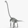 Brachiosaurus 3D Model Rigged Basemesh Skeleton 3D Model Creature Guard 41