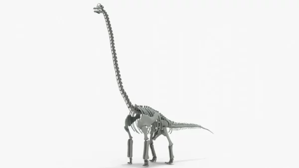 Brachiosaurus Rigged Skeleton 3D Model Creature Guard 7