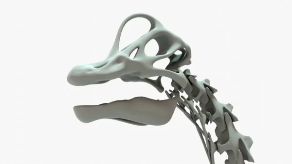 Brachiosaurus Rigged Skeleton 3D Model Creature Guard 8
