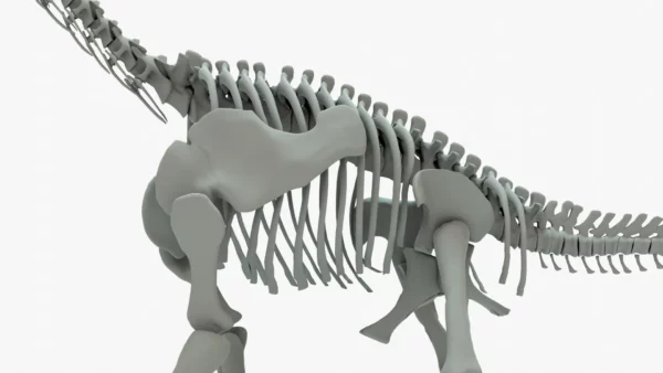 Brachiosaurus Rigged Skeleton 3D Model Creature Guard 9