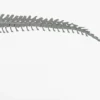 Brachiosaurus Rigged Skeleton 3D Model Creature Guard 30