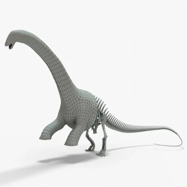 Brontosaurus 3D Model Rigged Basemesh Skeleton