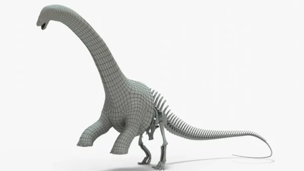 Brontosaurus basemesh skeleton
