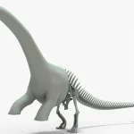 Brontosaurus 3d model
