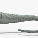 Brontosaurus tail