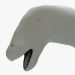 Brontosaurus head