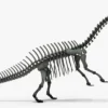 Brontosaurus 3D Model Rigged Skeleton 3D Model Creature Guard 34