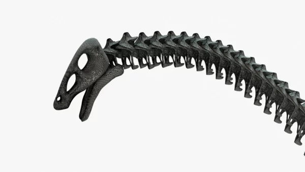 Brontosaurus 3D Model Rigged Skeleton 3D Model Creature Guard 12