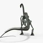 Brontosaurus Skeleton 3D Model