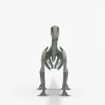 Brontosaurus Skeleton 3D Model