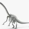 Brontosaurus 3D Model Rigged Basemesh Skeleton 3D Model Creature Guard 31