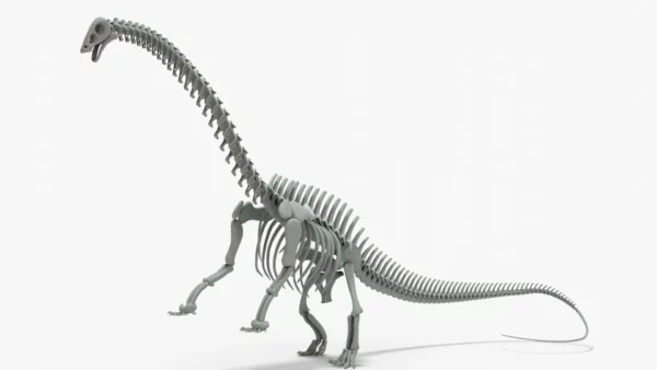 Brontosaurus 3D Model Rigged Basemesh Skeleton 3D Model Creature Guard 11