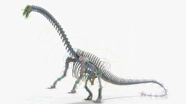 Brontosaurus 3D Model Rigged Skeleton 3D Model Creature Guard 21