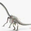 Brontosaurus Skeleton 3D Model