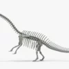 Brontosaurus 3D Model Rigged Basemesh Skeleton 3D Model Creature Guard 33