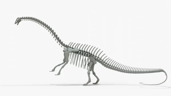 Brontosaurus 3D Model Rigged Skeleton 3D Model Creature Guard 5