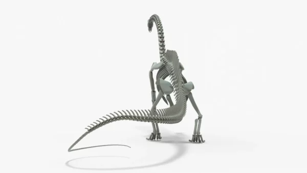 Brontosaurus 3D Model Rigged Skeleton 3D Model Creature Guard 6