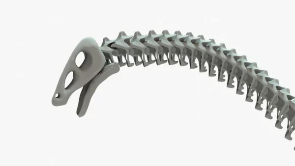 Brontosaurus 3D Model Rigged Basemesh Skeleton 3D Model Creature Guard 16