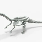 Brontosaurus Skeleton 3D Model