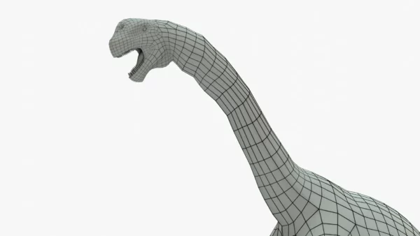 Camarasaurus 3D Model
