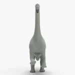 Camarasaurus front view