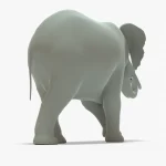 Elephant 3D Model