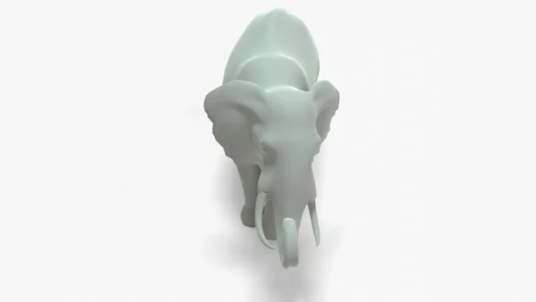 Elephant 3D Model Rigged Basemesh 3D Model Creature Guard 13