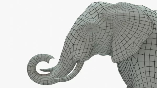 Elephant 3D Model Rigged Basemesh 3D Model Creature Guard 16