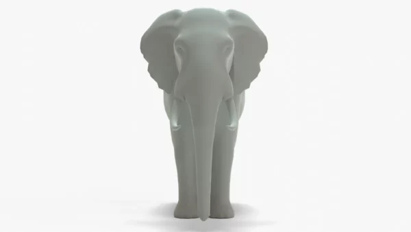 Elephant front view