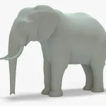Elephant natural view