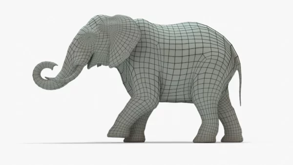 Elephant 3D Model Rigged Basemesh 3D Model Creature Guard 6