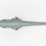 Giganotosaurus top view