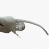 Gray Whale 3D Model Rigged Basemesh Skeleton 3D Model Creature Guard 24