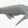 Gray Whale 3D Model Rigged Basemesh 3D Model Creature Guard 29