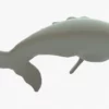 Gray Whale 3D Model Rigged Basemesh 3D Model Creature Guard 30