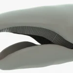 Gray Whale 3D Model