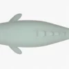 Gray Whale 3D Model Rigged Basemesh 3D Model Creature Guard 38