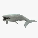 Gray Whale 3D Model
